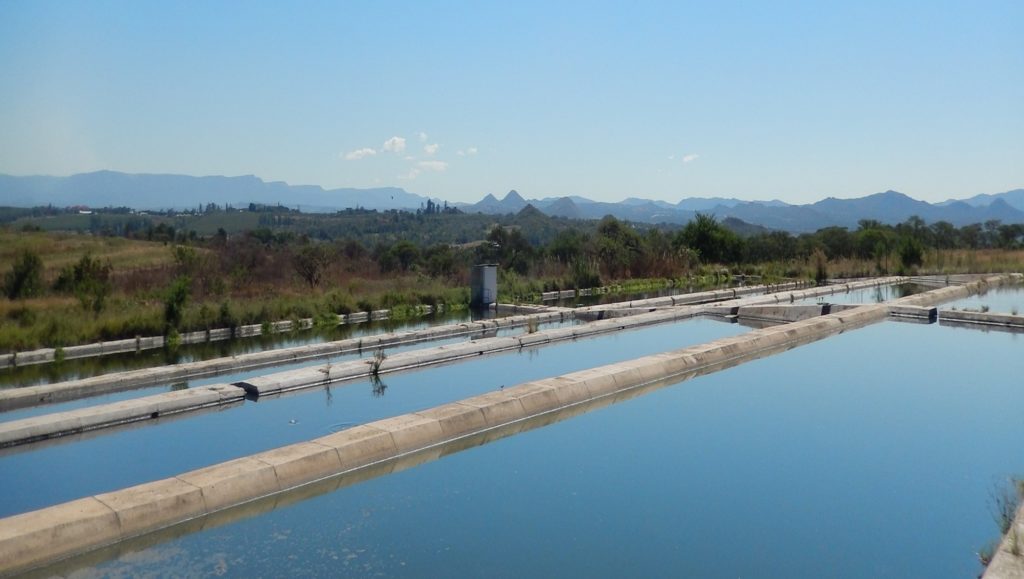 Pond water treatment process